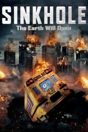 Sink Hole 2013 Hindi Dual Audio 300MB HD Poster Download - filmyfly