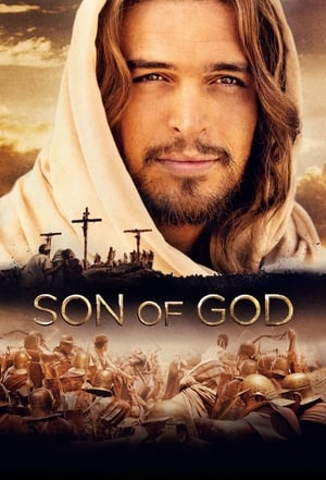 Son of God 2014 Hindi Dual Audio 450MB