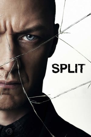 Split (2016) Movie HC [900MB] Download HD Poster Download - filmyfly