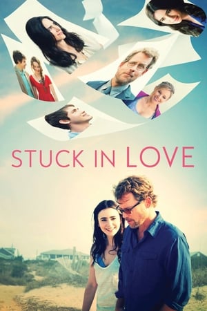 Stuck in Love (2012) Hindi Dual Audio [850MB] HD Poster Download - filmyfly