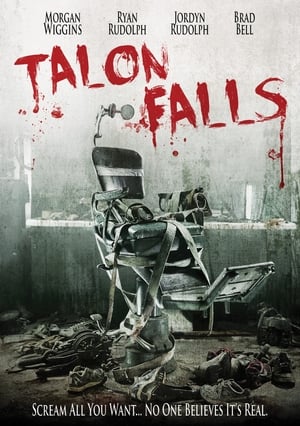 Talon Falls (2017) Hindi Dual Audio [1GB] HD Poster Download - filmyfly