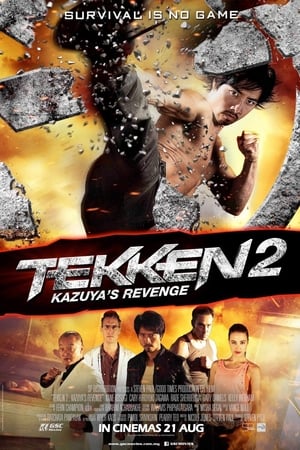 Tekken Kazuyas Revenge 2014 Hindi Dual Audio [900MB] HD Poster Download - filmyfly