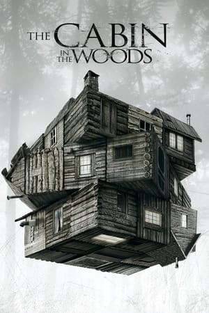 The Cabin in the Woods 2012 Dual Audio Hindi [150MB] HD Poster Download - filmyfly