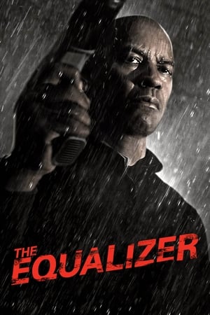 The Equalizer (2014) Hindi Dual Audio – HD Poster Download - filmyfly