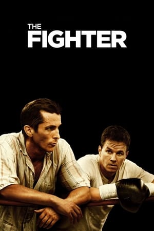 The Fighter (2010) Hindi Dual Audio [700MB] HD Poster Download - filmyfly
