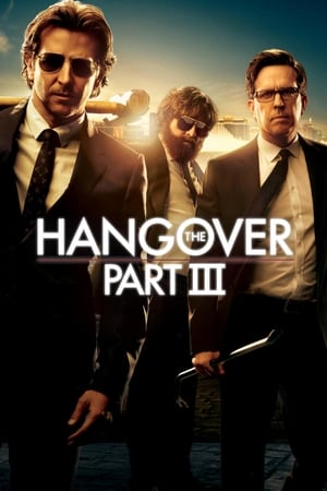 The Hangover Part III (2013) Hindi Dual Audio 300MB