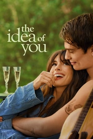 The Idea of You 2024 Hindi Dual Audio – 720p – HD Poster Download - filmyfly