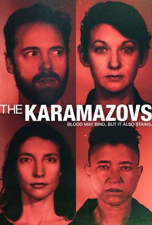 The Karamazovs (2024) Hindi (MULTI AUDIO) – –