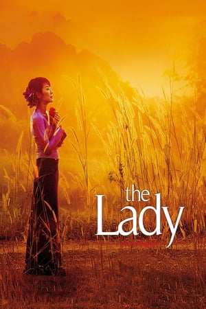 The Lady 2011 Dual Audio Hindi 400MB