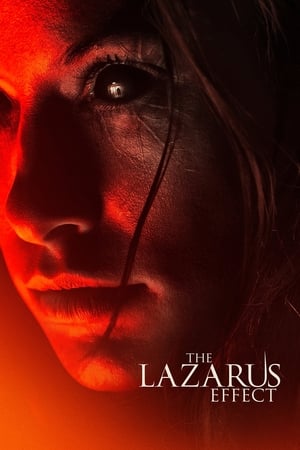 The Lazarus Effect (2015) Hindi Dual Audio 300MB