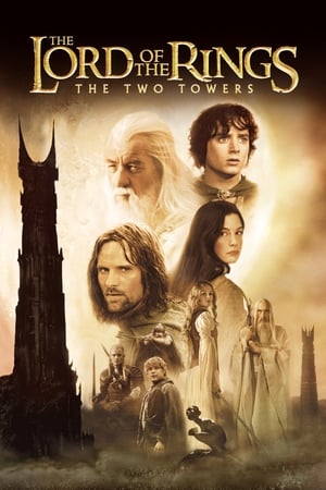 The Lord of the Rings: The Two Towers 2002 Hindi Dual Audio