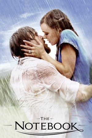 The Notebook 2004 Dual Audio Hindi Full Movie - 1GB HD Poster Download - filmyfly