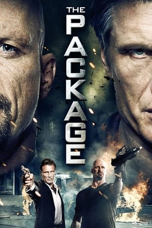 The Package (2013) Hindi Dual Audio 350MB