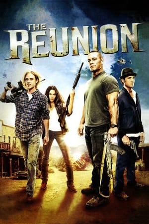 The Reunion (2011) Hindi Dual Audio – HD Poster Download - filmyfly