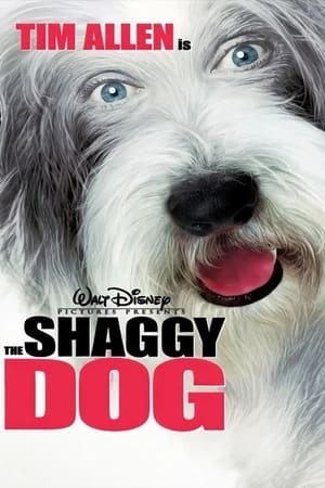 The Shaggy Dog (2006) Hindi Dual Audio [950MB]
