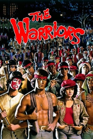 The Warriors 1979 Hindi Dual Audio [830MB]