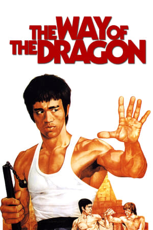The Way of the Dragon (1972) Hindi Dual Audio 300MB