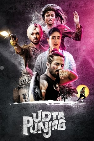 Udta Punjab (2016) Full Movie [1.1 GB] Download