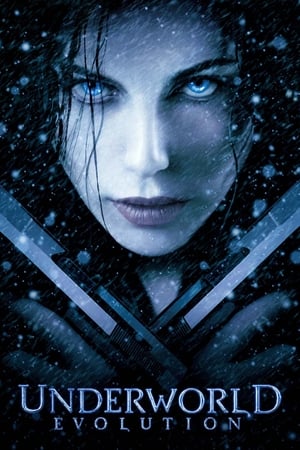 Underworld Evolution (2006) 100mb Hindi Dual Audio movie Download HD Poster Download - filmyfly