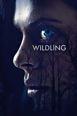Wildling (2018) Movie (English) [700MB] HD Poster Download - filmyfly