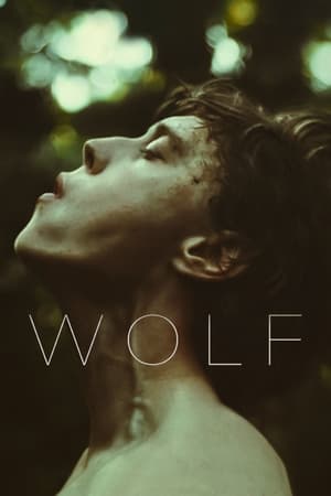 Wolf (2021) Hindi Dual Audio – HD Poster Download - filmyfly