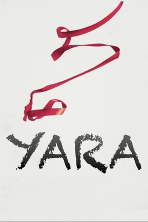 Yara 2021 Hindi Dual Audio 300MB HD Poster Download - filmyfly