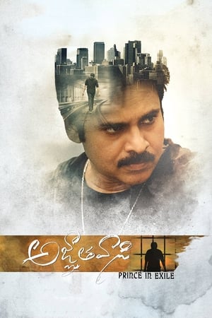 Yevadu 3 (Agnyaathavaasi) 2018 Movie Dual Audio Hindi [1.5GB]